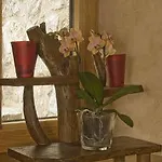Casa Maru *