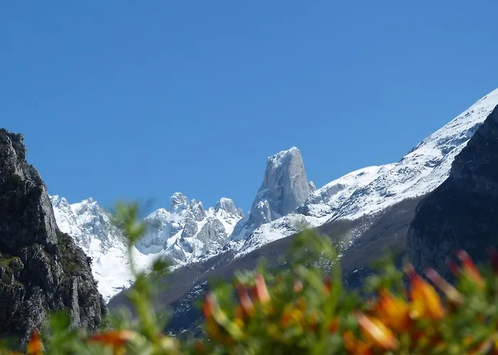Casa Maru Habitación en casa particular Camarmena